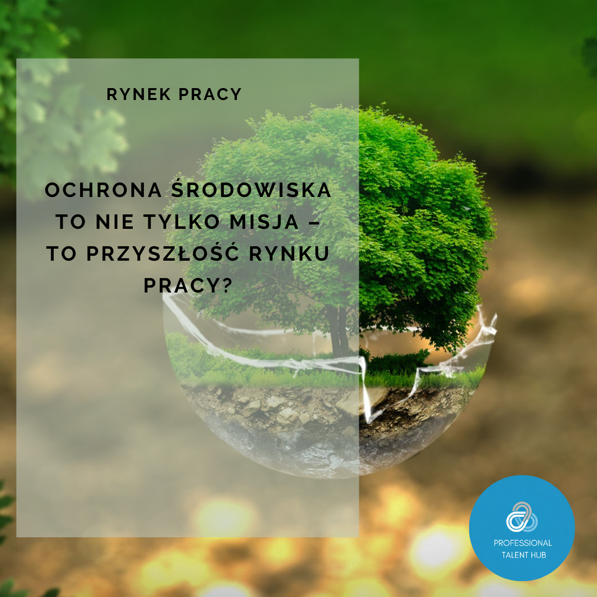 Ochrona środowiska to nie tylko misja – to przyszłość rynku pracy